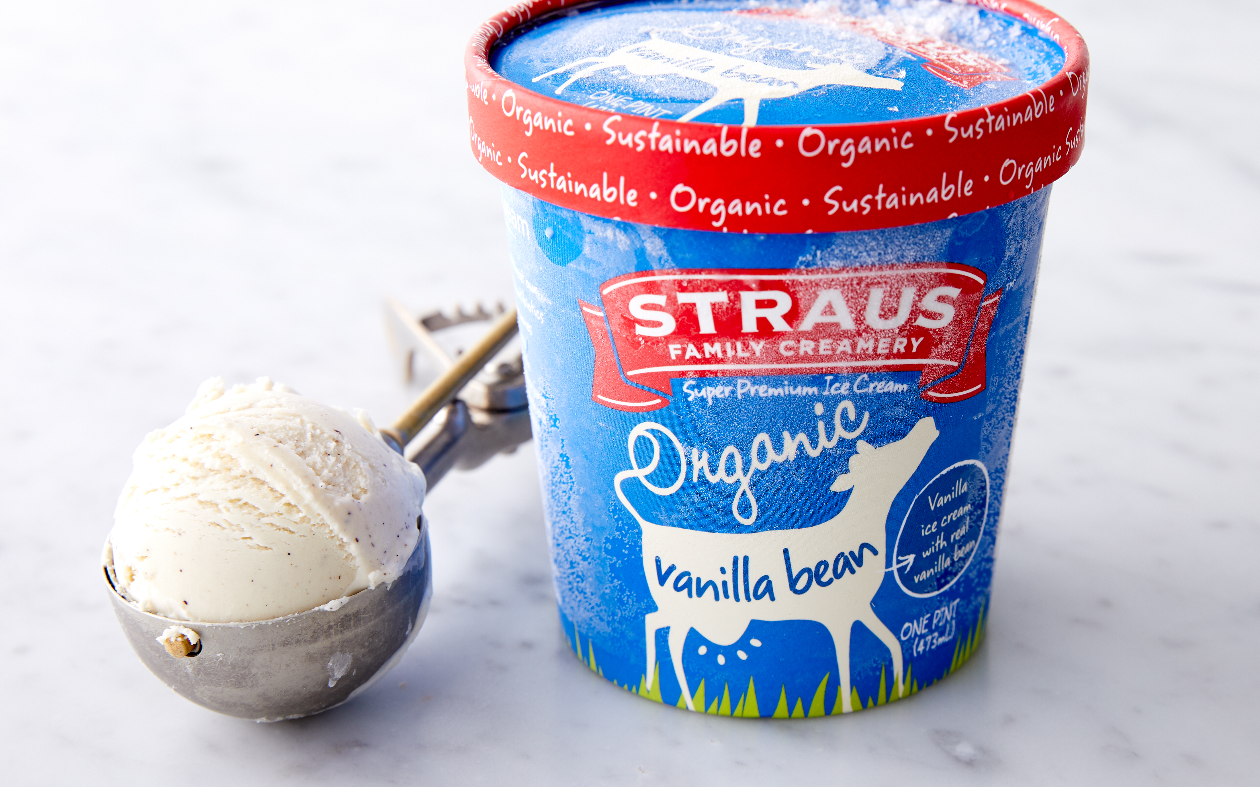 Organic Vanilla Bean Ice Cream Straus Family Creamery SF Bay Good